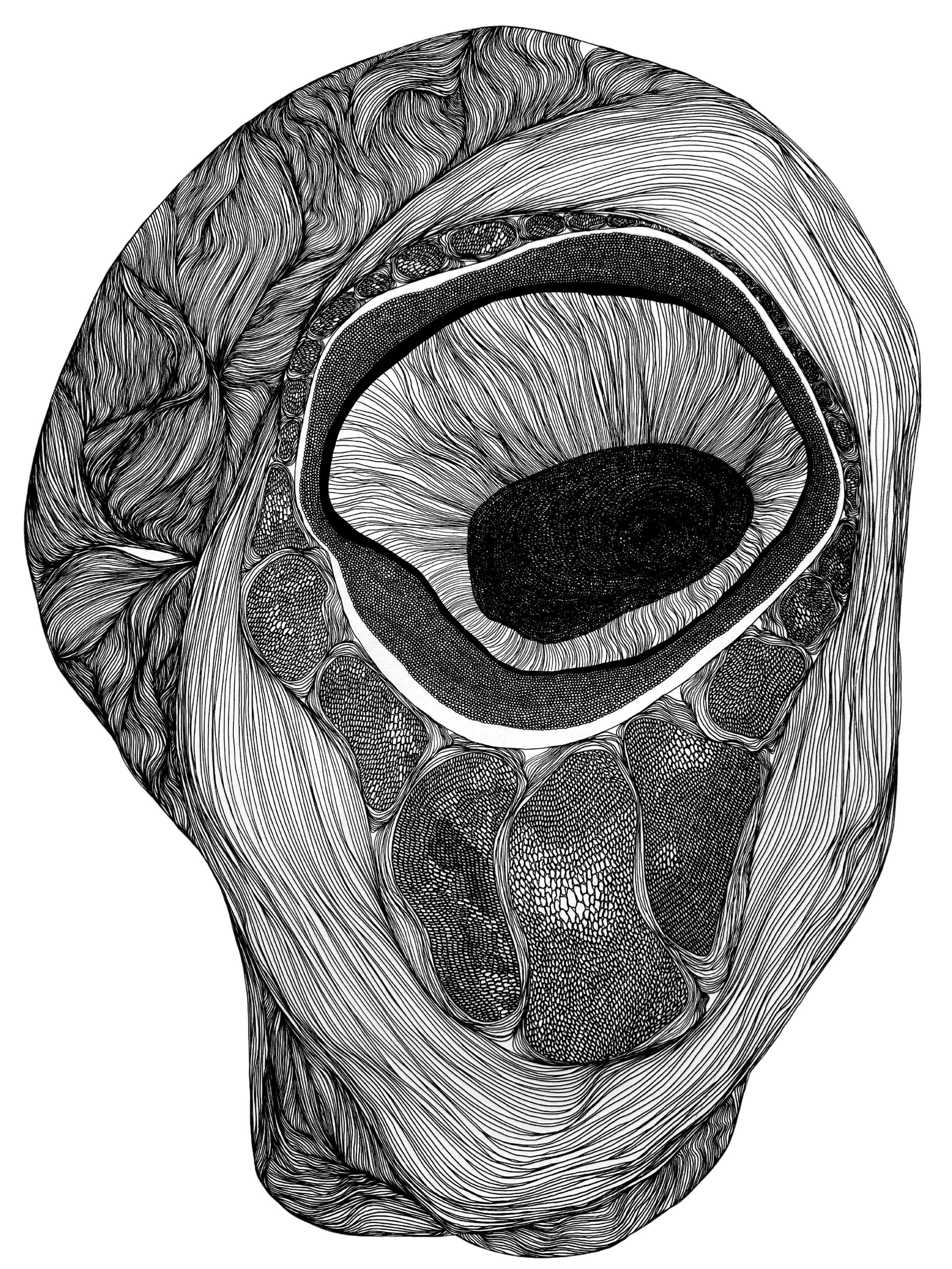 Featured art 12