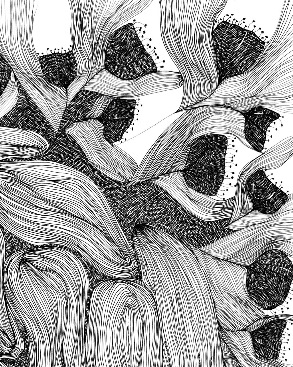 Featured art 15