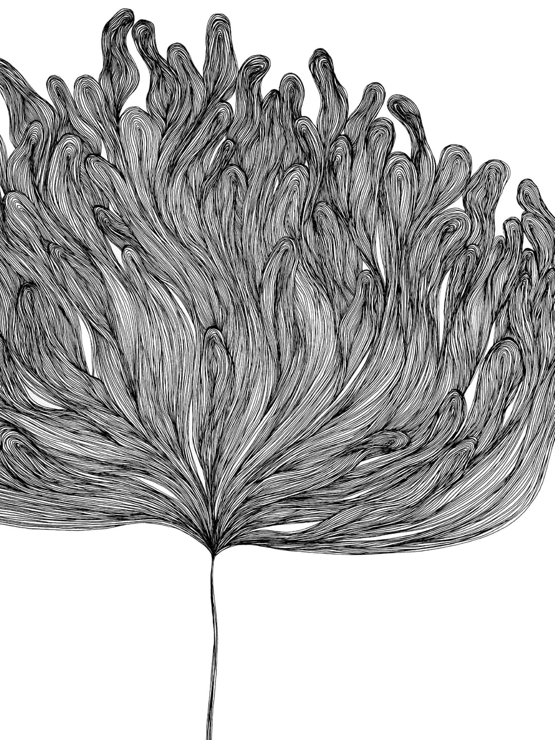 Featured art 6