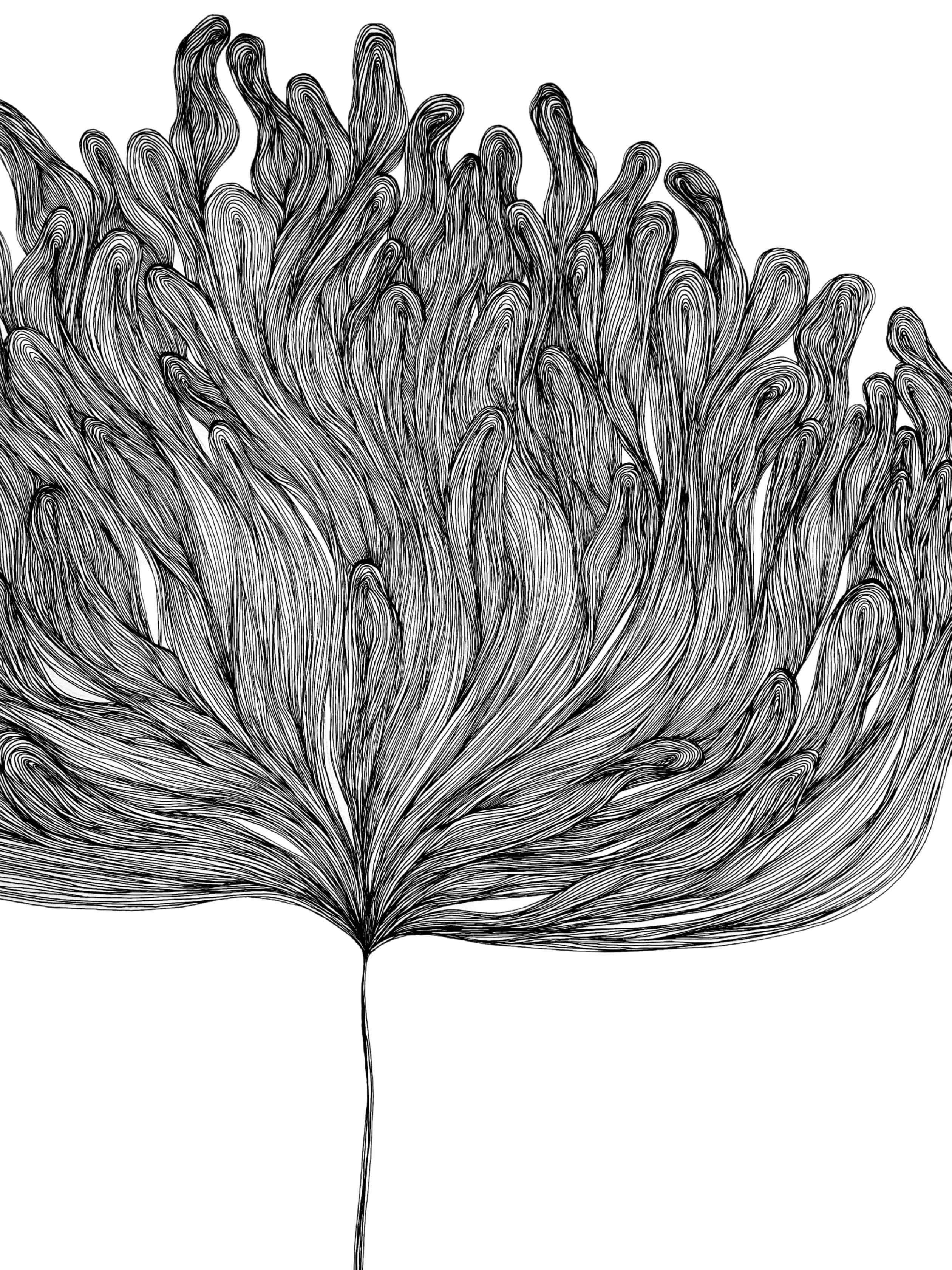 Featured art 6